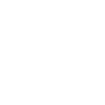 Kanji Esports Store