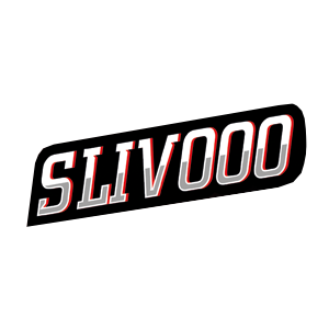 slivooo Store